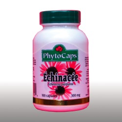 Phyto Echinacea